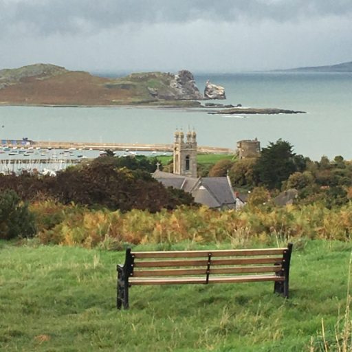 Physician In Numbers