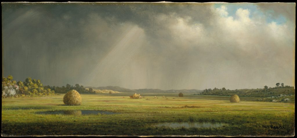 An autumn field with sunshine slanting down